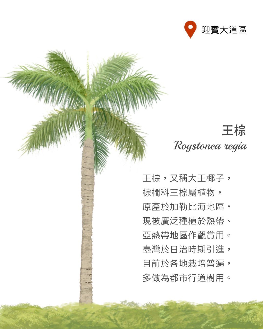 國立科學工藝博物... - 國立科學工藝博物館 National Science and Technology Museum