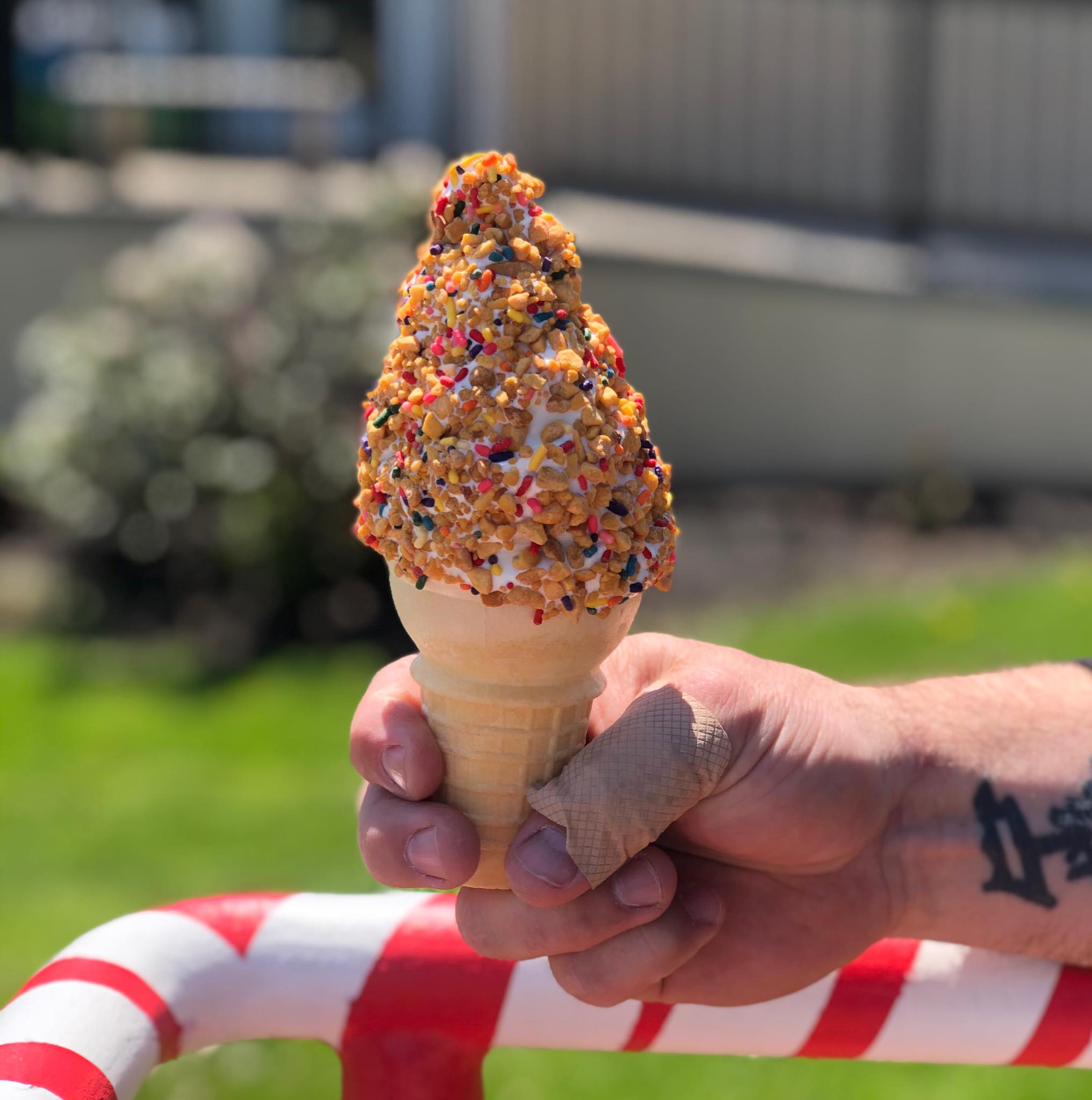 Krunch Kote With Sprinkles – 6lb Peanut Brittle Ice Cream Topping, Delicious & Crunchy 1 thumbnail image