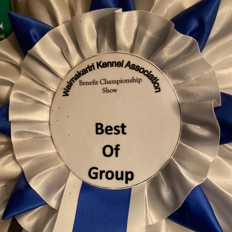 Thank you for your... - Waimakariri Kennel Association | Facebook