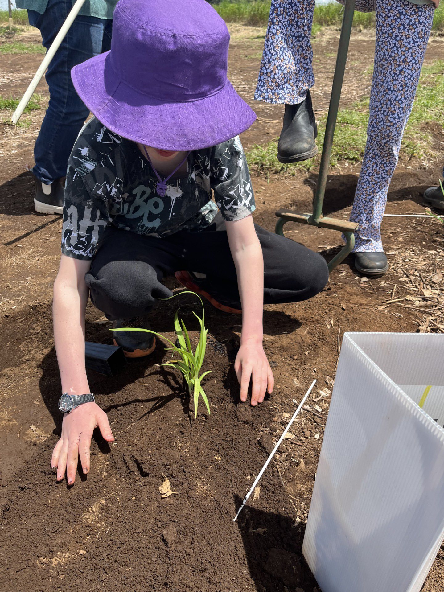 Global Tree Initiative Australia | Melbourne VIC