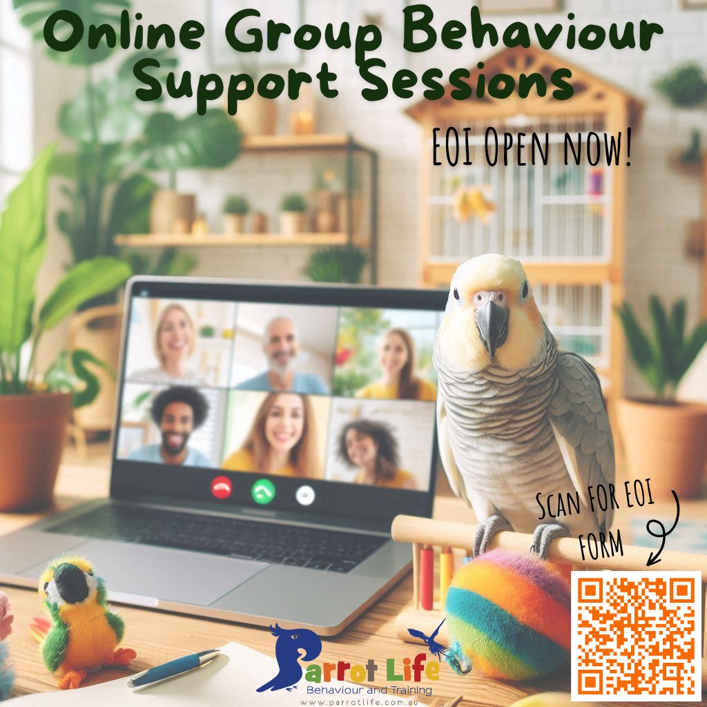 Parrot - 🐦 Need Affordable Help with Your Parrot's Behavior? 🐦 Hey ...