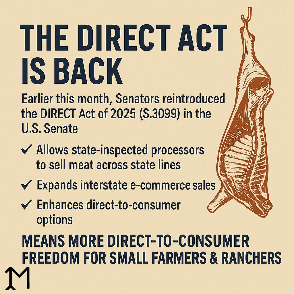 𝐓𝐡𝐞 𝐃𝐈𝐑𝐄𝐂𝐓 𝐀𝐜𝐭 𝐈𝐬 𝐁𝐚𝐜𝐤! — 𝘢𝘯𝘥 𝘪𝘵... - Arrow M Cattle Company | Facebook