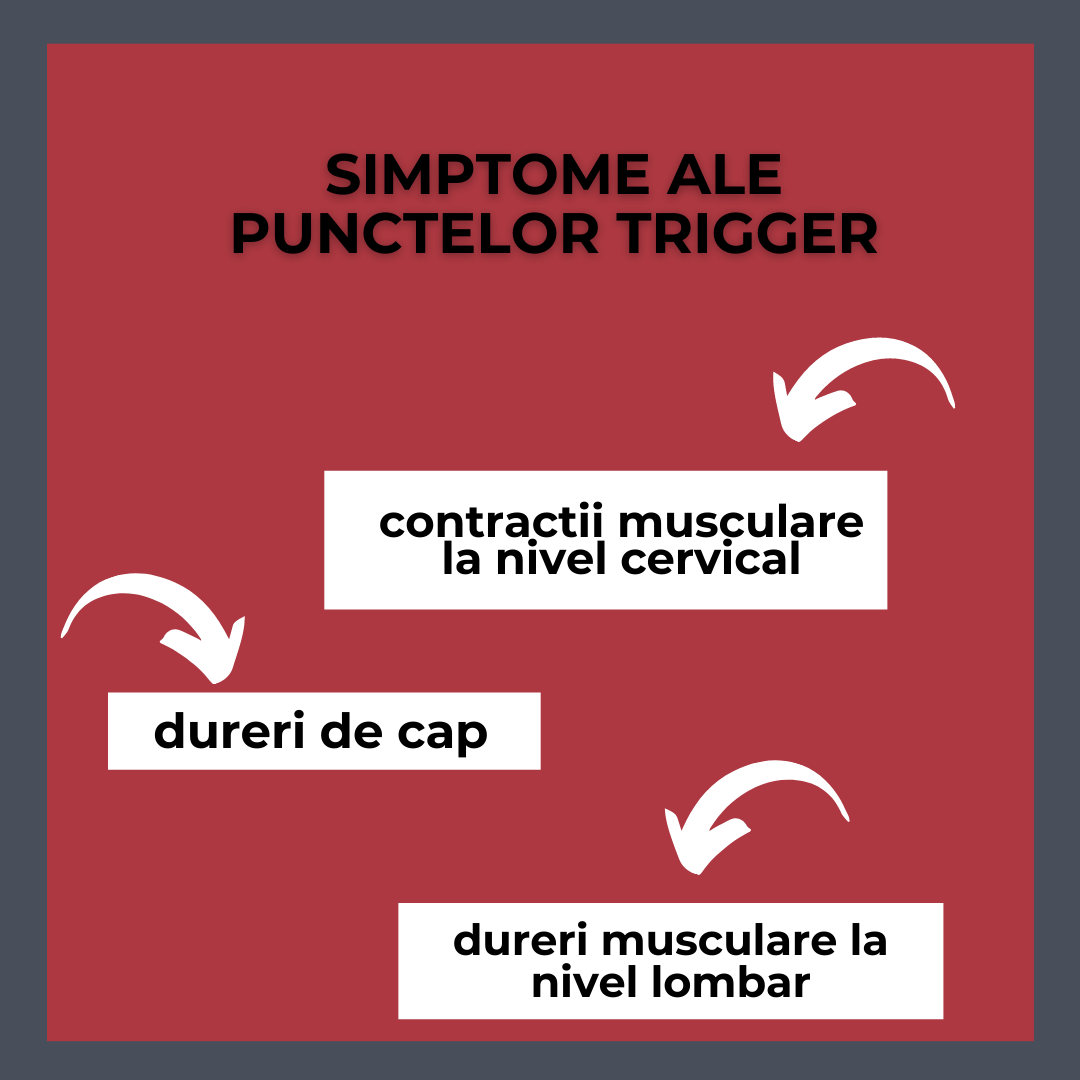 Trigger Point | Bucureşti Sectorul 1