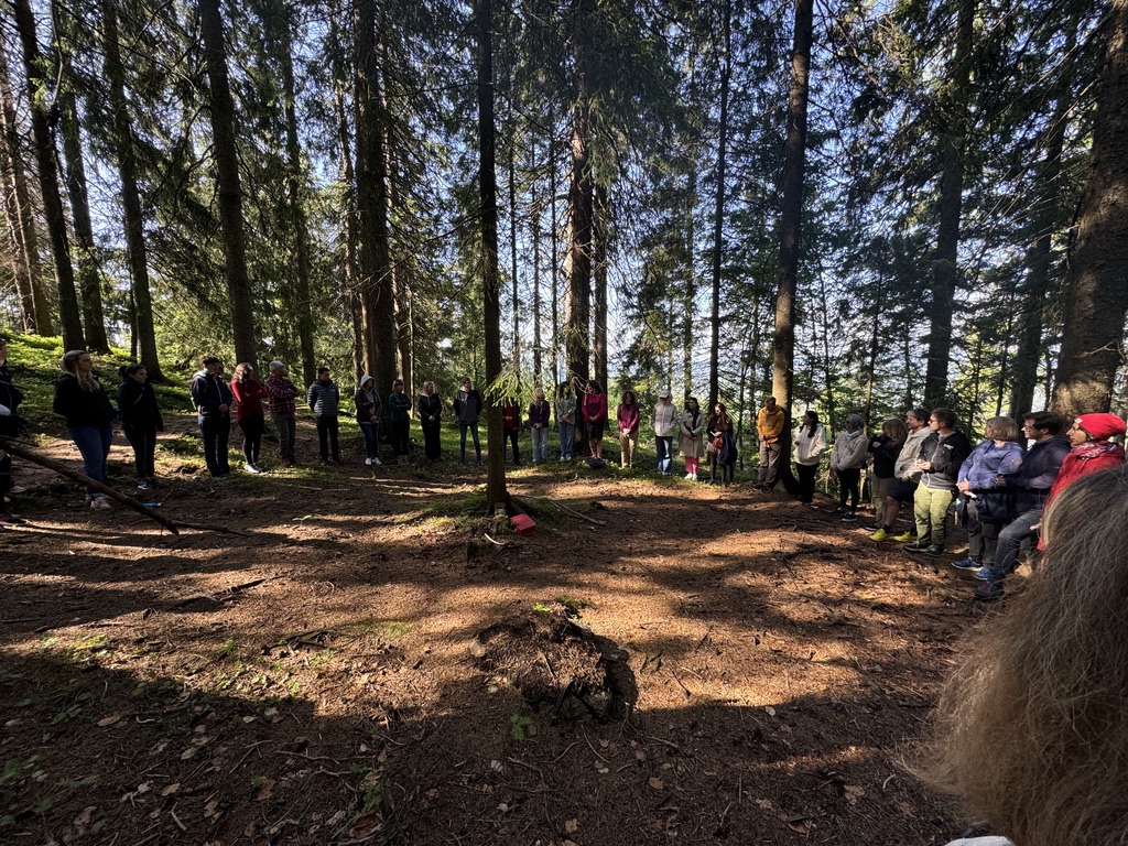 Ecoframtid.se - Tallrikar av vetekli ️ made in Poland [https ...