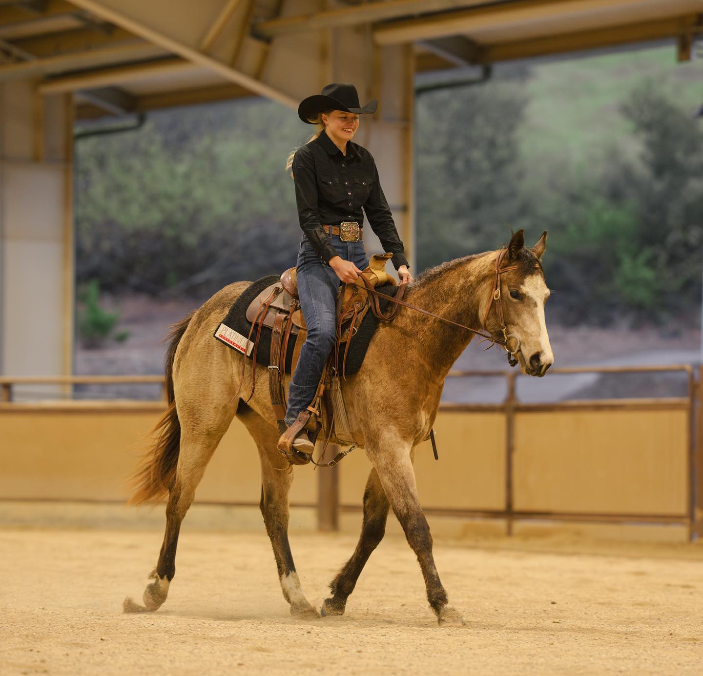Cal - Nothing but smiles when Dulce is in the arena showing off ...