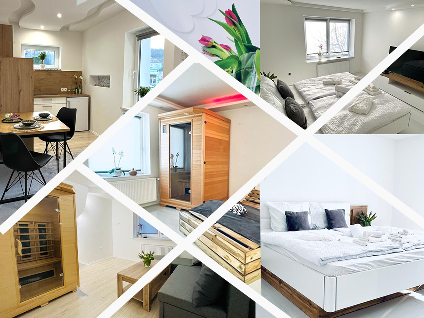 Wellness and apartments Luxe | Ljutomer