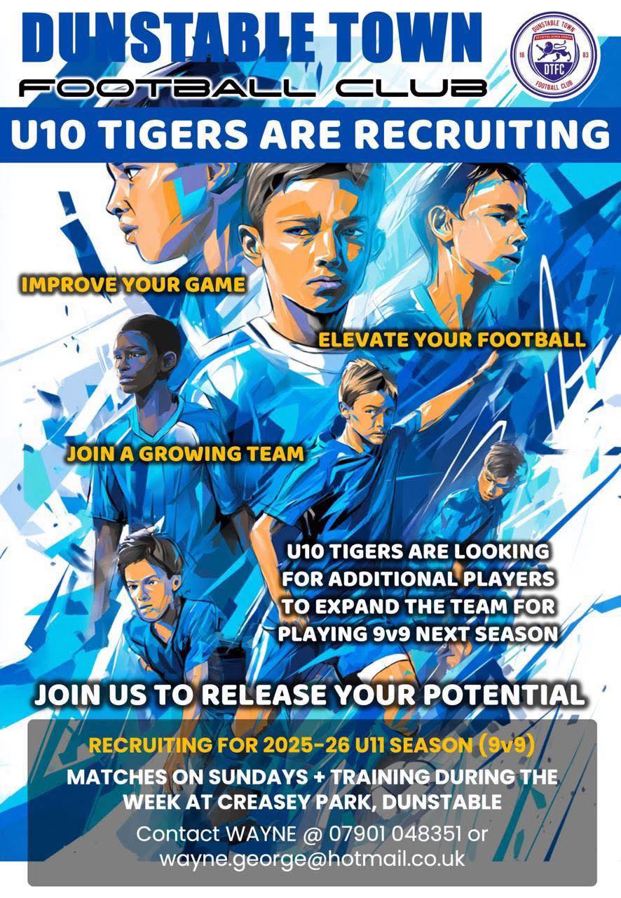 Dunstable Town Youth-Section