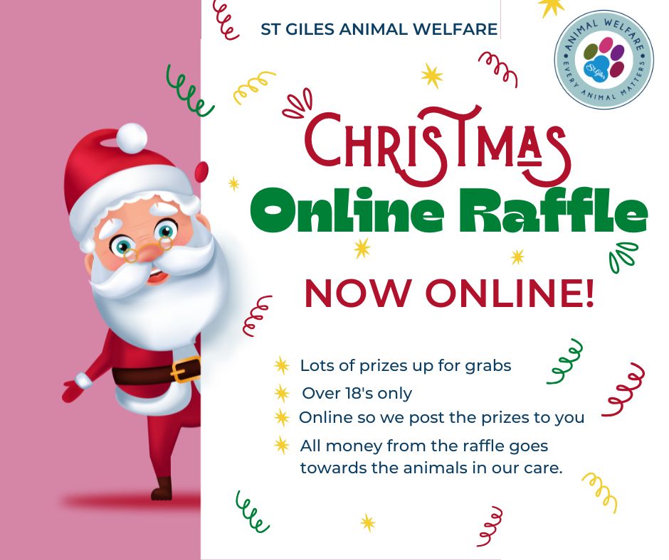St - 🎄 NOW OPEN! 🎄 Our Online Christmas Raffle is back — and it’s ...