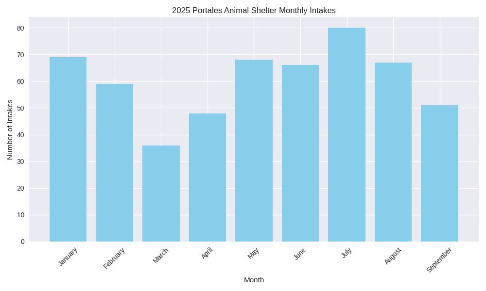 🐾📈 Portales Animal... - City of Portales Animal Services | Facebook