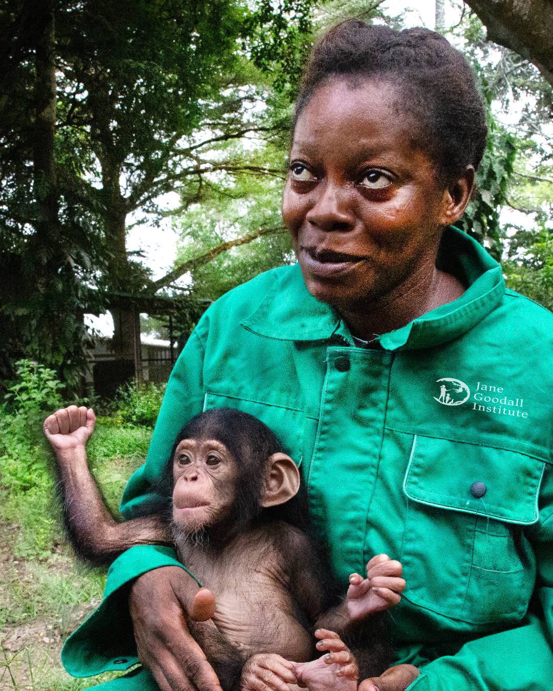 the Jane - 🐵 Tchimpounga Caretaker of the Month: Francine! 🌟 Francine ...