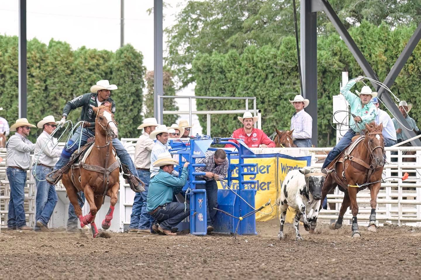 Big 4 Rodeos