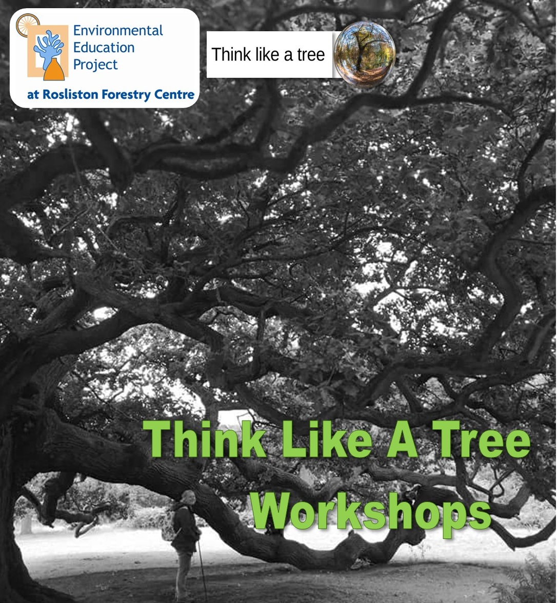 'Think Like A Tree' taster... - Visit South Derbyshire | Facebook