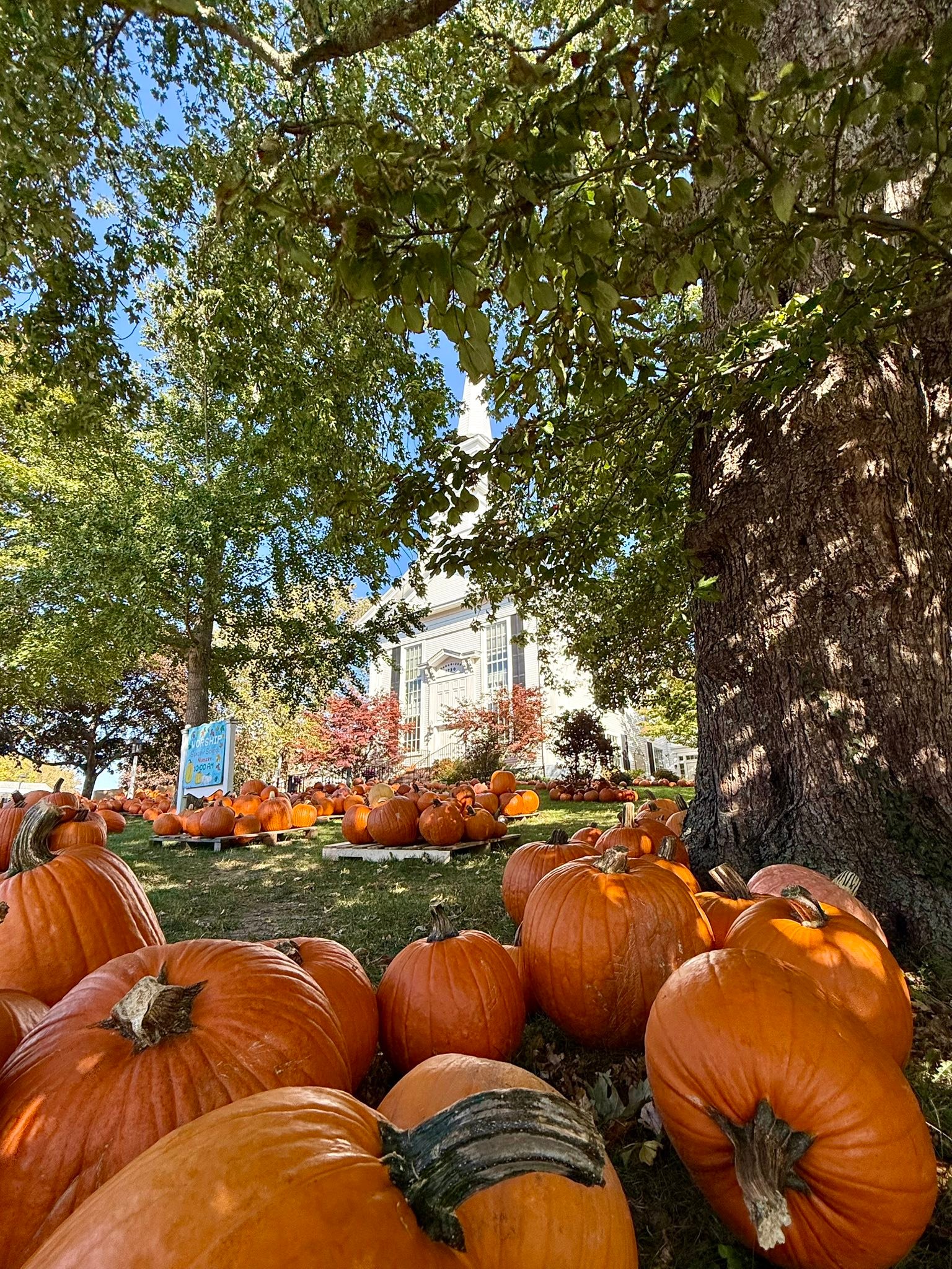 Cape - Chatham, Massachusetts - Cape Cod Fall 2025 ...