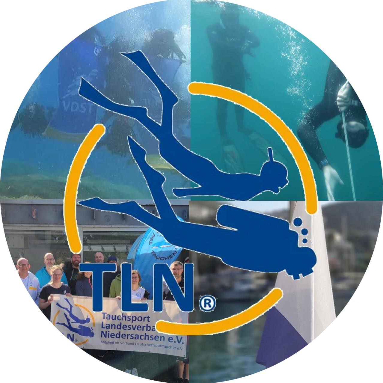 TLN eV - In einer Woche ist es soweit 💪🏻 Hier euer... | Facebook