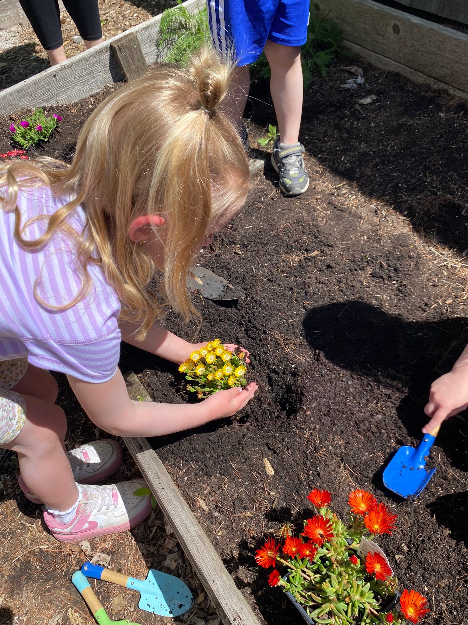 Community Roots School | Saratoga Springs NY
