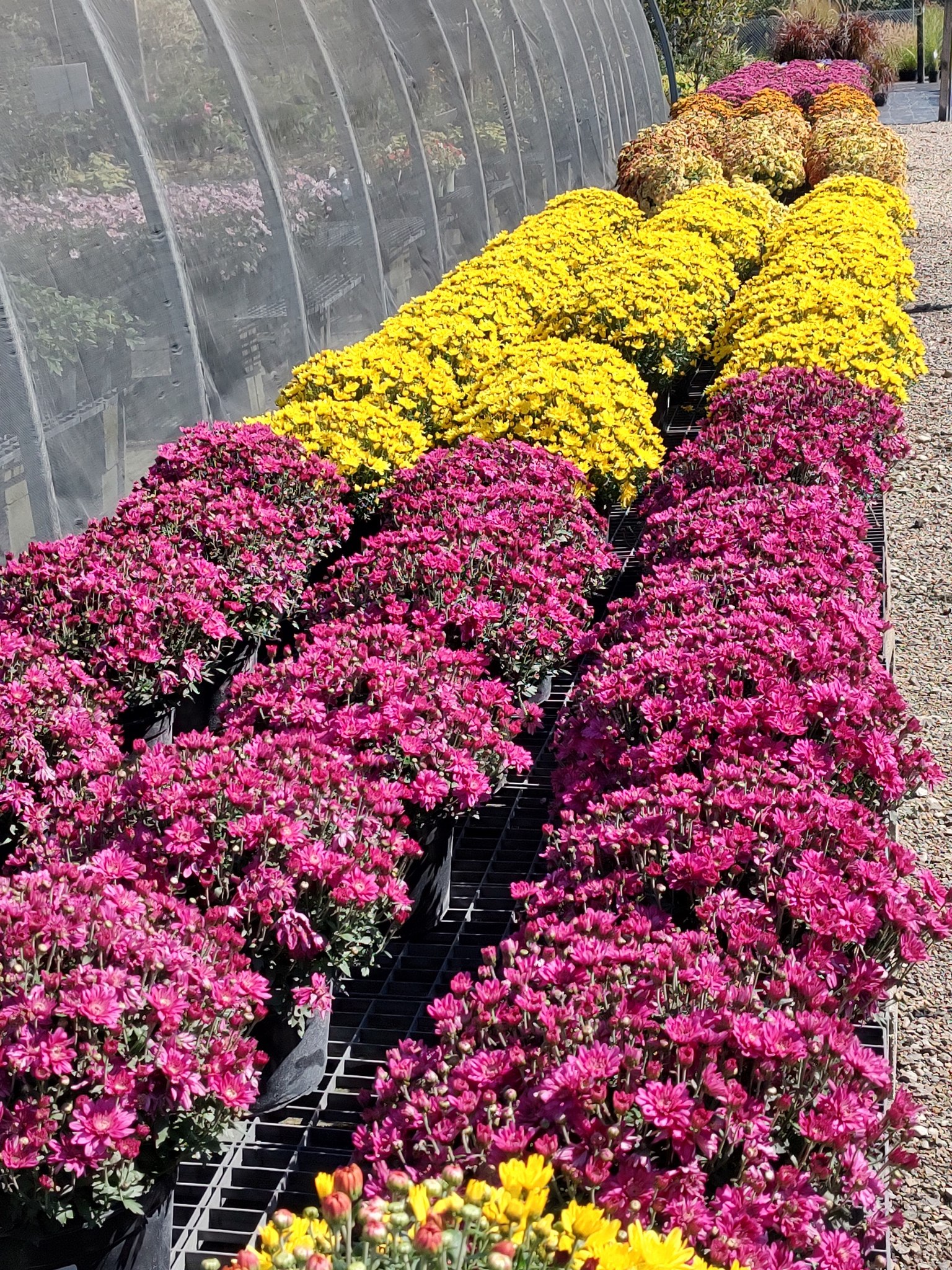 Kurtz Bros Mulch & Soils