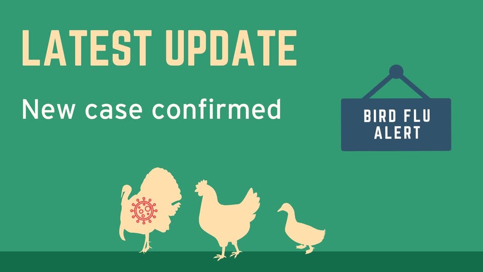 Suffolk - Highly pathogenic avian influenza H5N1 has been confirmed at ...