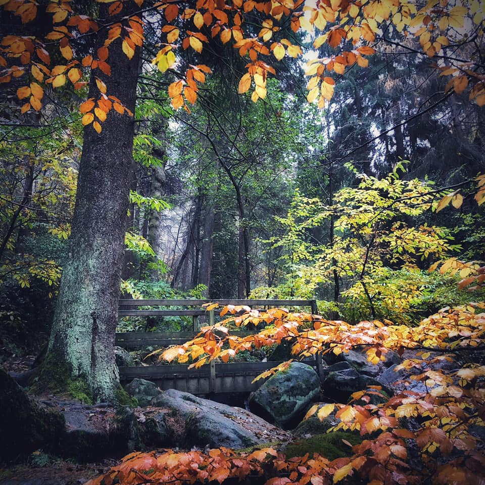 Peaklass - AUTUMN BEAUTY • I hope you’ll forgive me a...