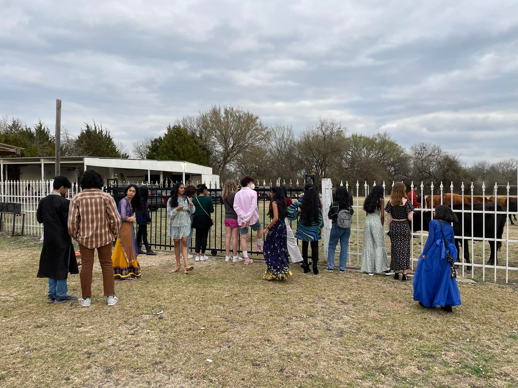 Luna Ranch | Waxahachie TX
