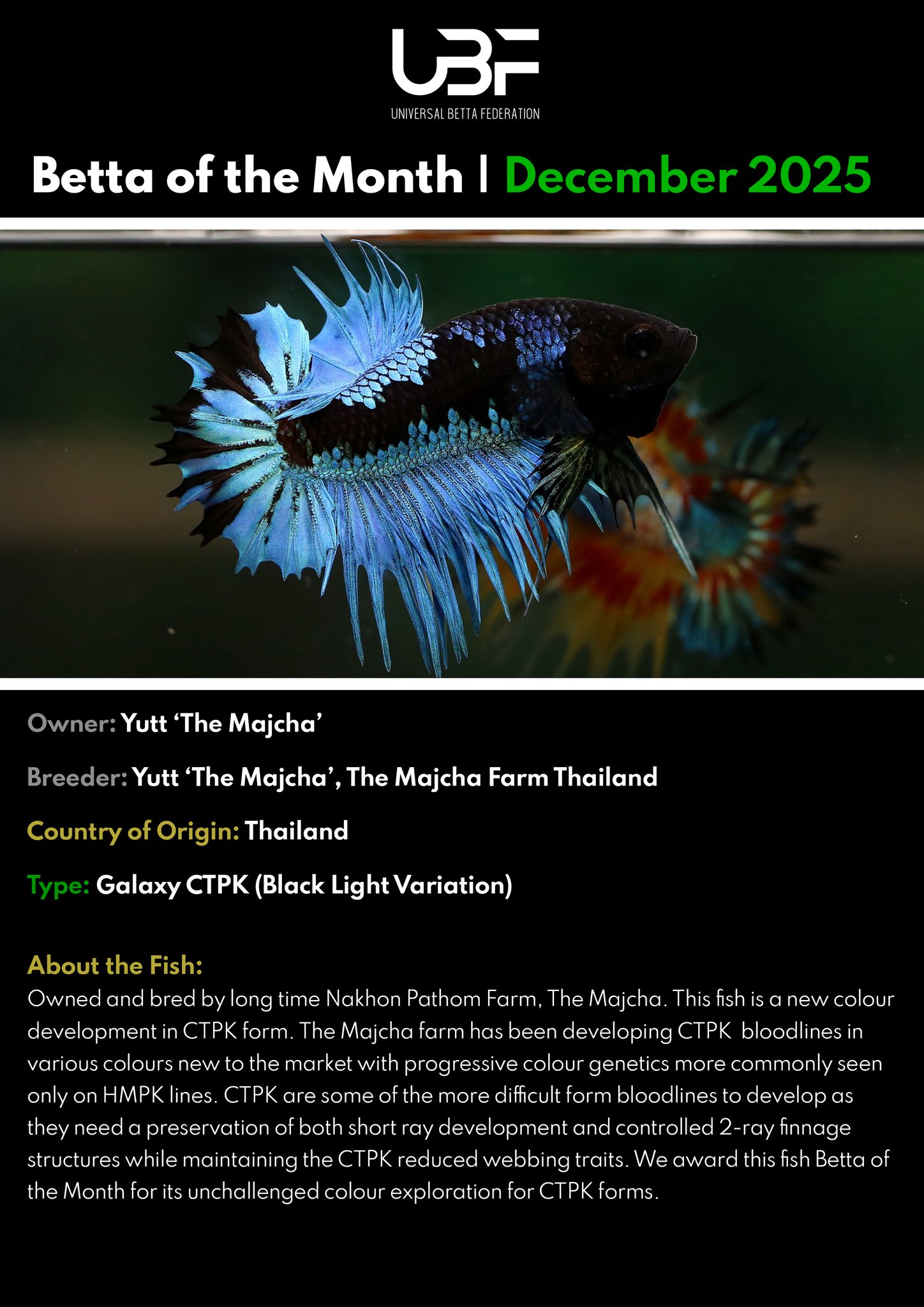 UBF: Universal Betta Federation