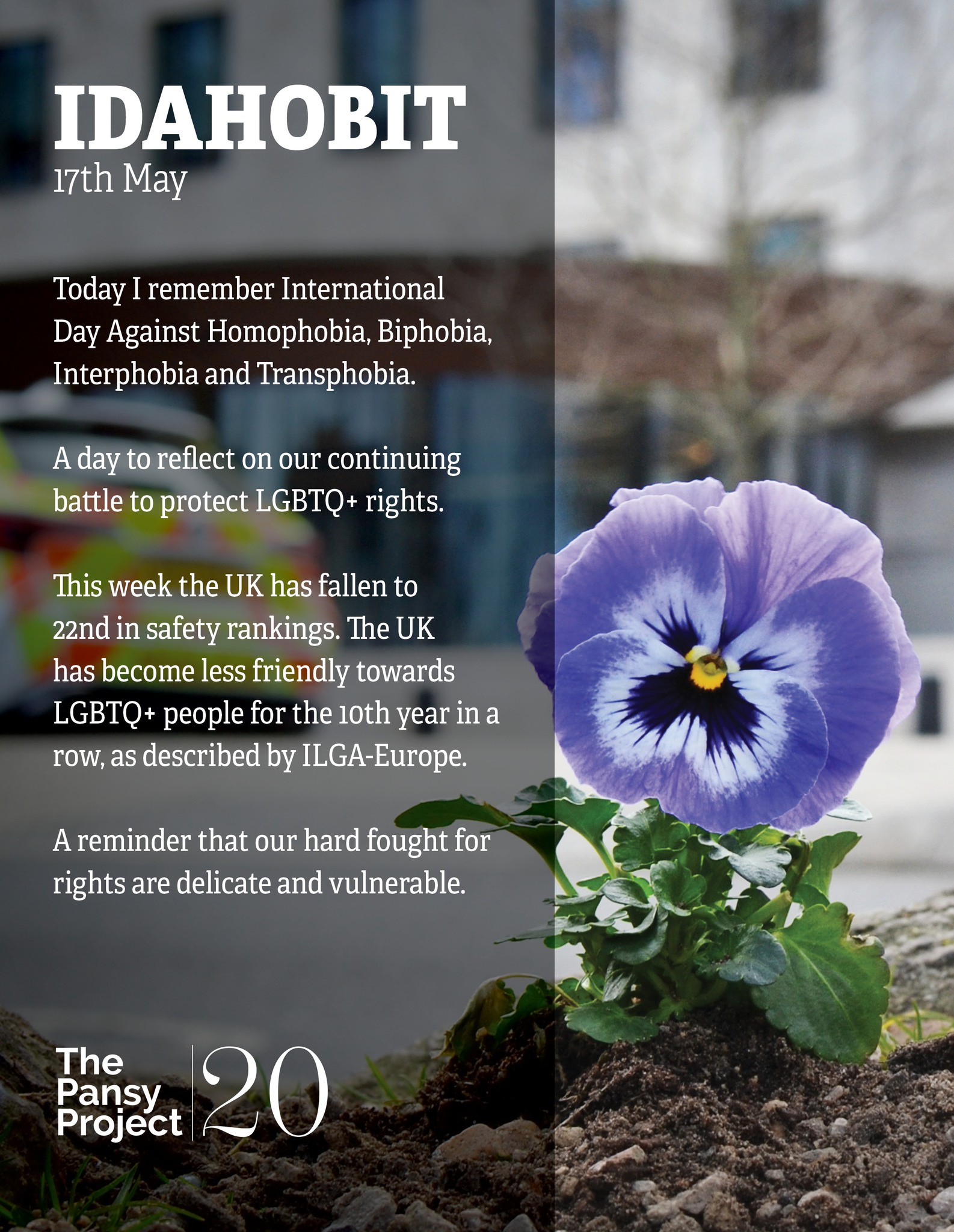 The Pansy Project