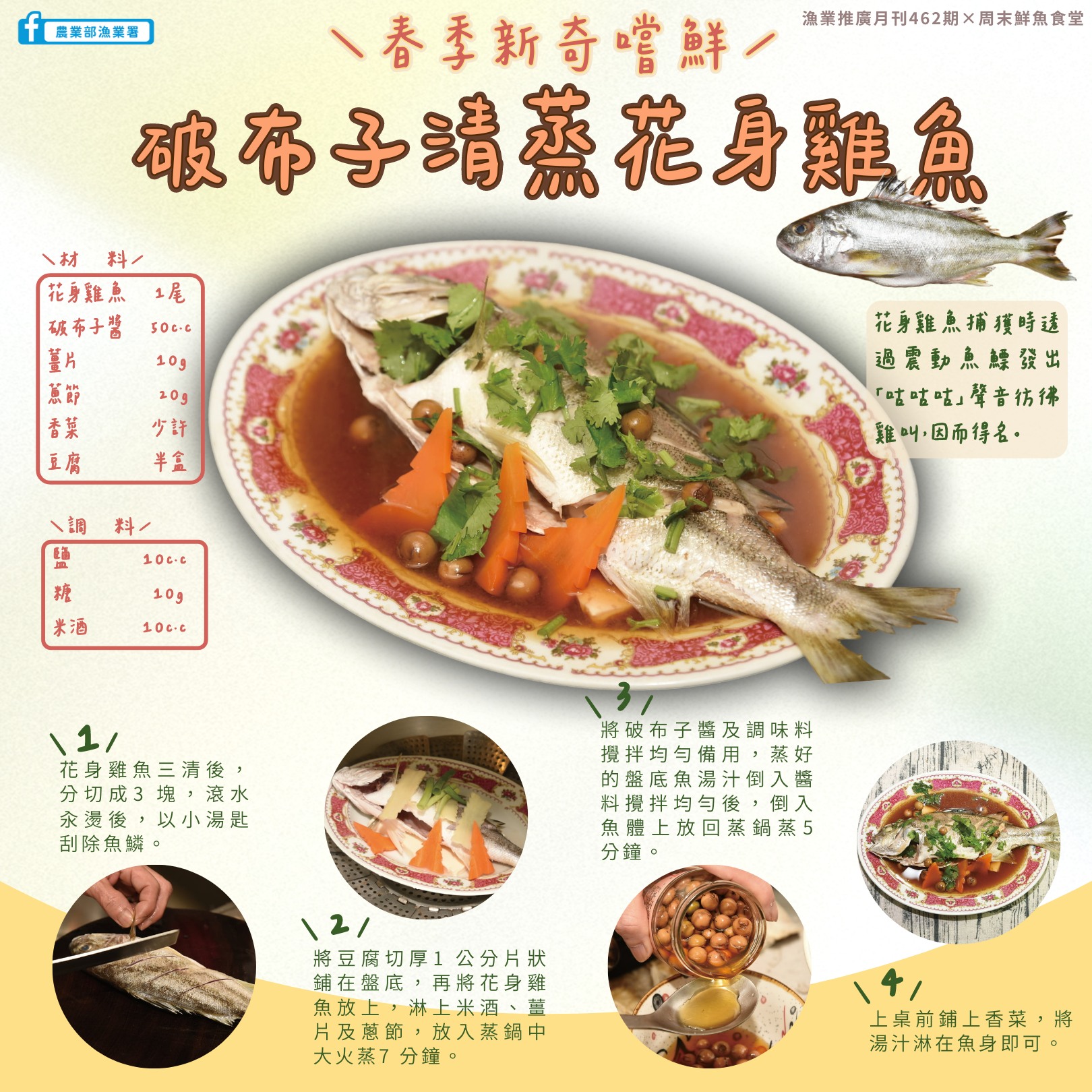 農業部漁業署 - #周末鮮魚食堂 春季到來，此時臺灣沿海常見的 #花身鯻 頗為引人注目，身上有著明顯三條黑色花紋的牠，又名 #花身雞魚 或 ...