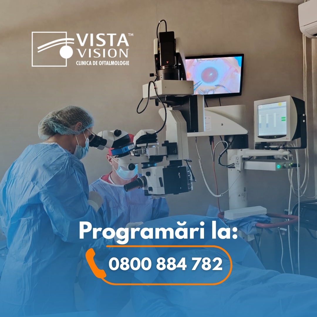 vista-vision-romania-timisoara