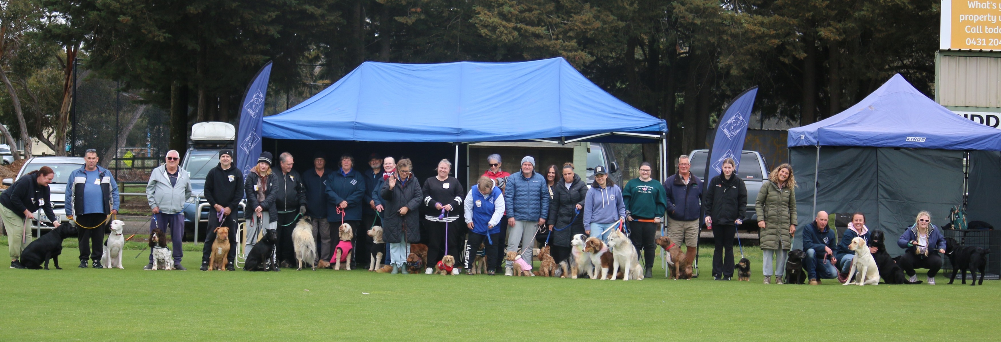 Melton Dog Obedience Club Inc. | Melton VIC