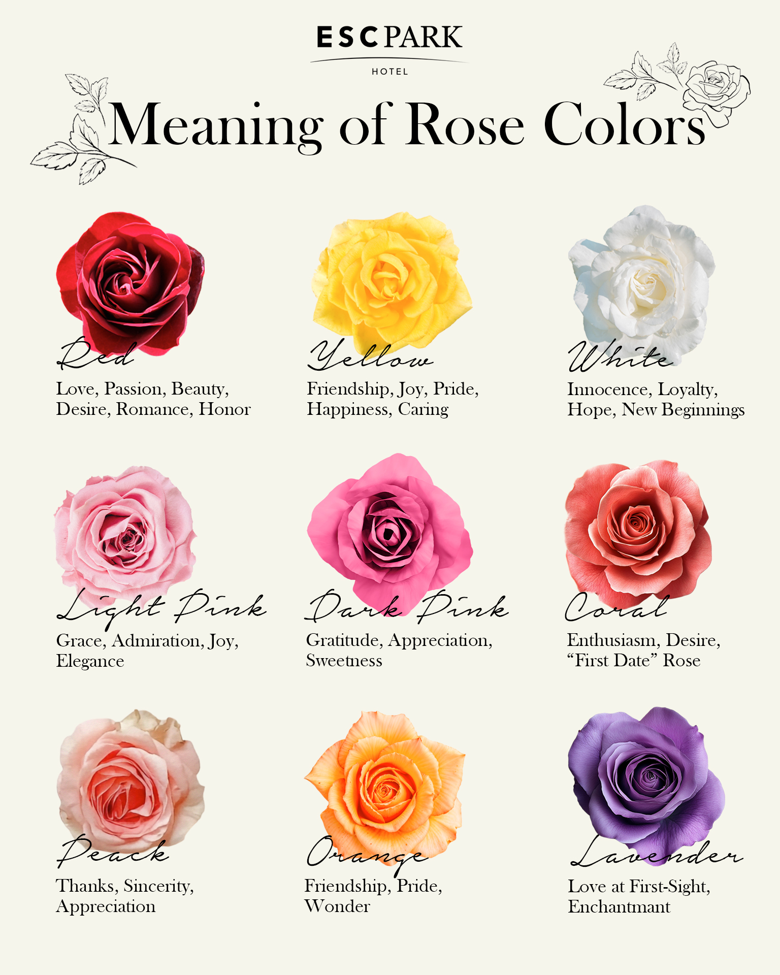 ESC Park Hotel - Meaning of Rose Colors 🌹🌻🌺🌼🌷🪻 📍เปิดให้บริการทุกวัน ...