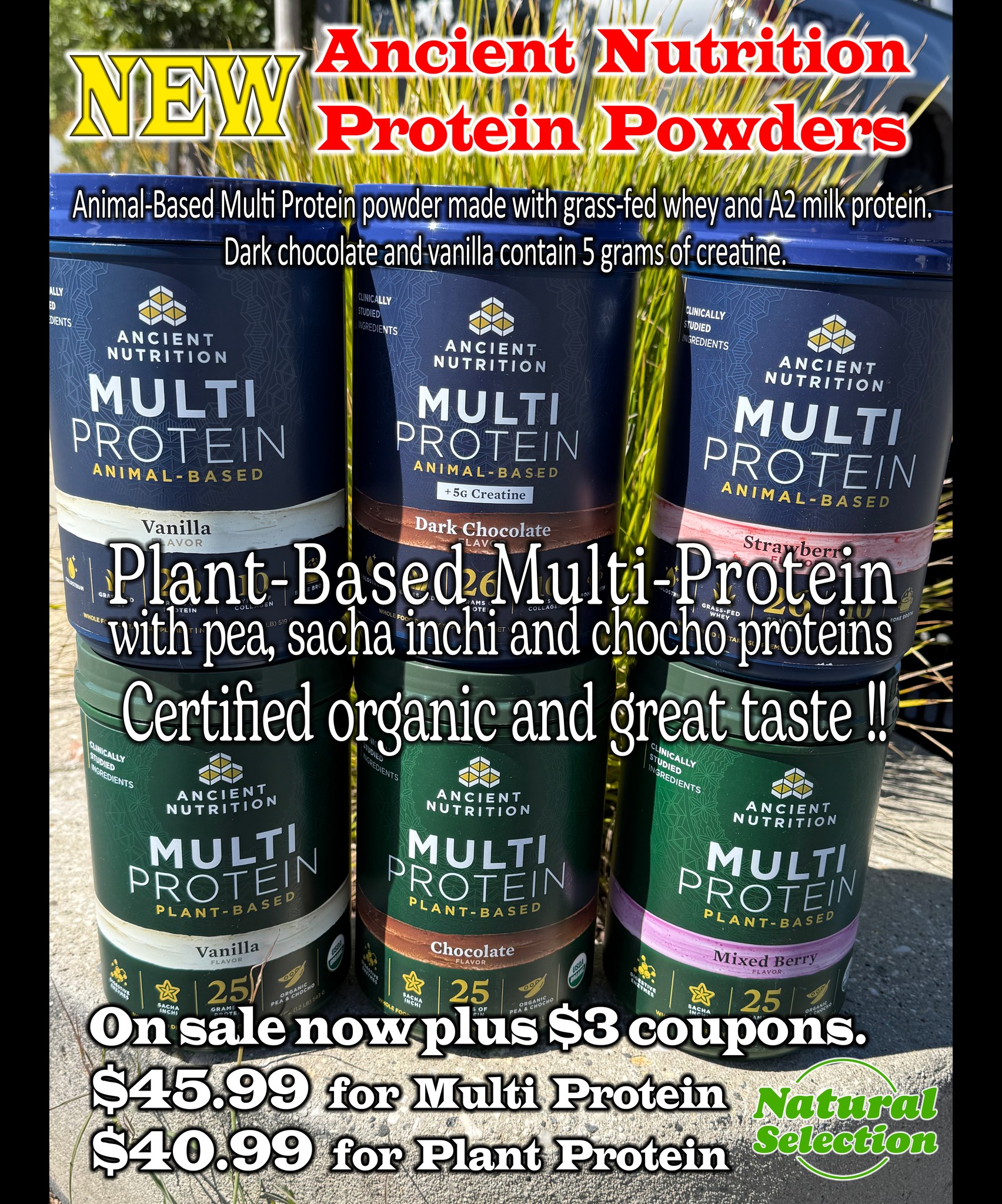 l carnitine benefits dr axe A new set of flavors for premium PROTEIN from Ancient Nutrition! 589 East Main Street, Grass Valley, CA #shoplocal #naturalselectionfoodwine #shopgrassvalley Is your skincare routine l-carnitine l-tartrate benefits Size:60 Days Pack