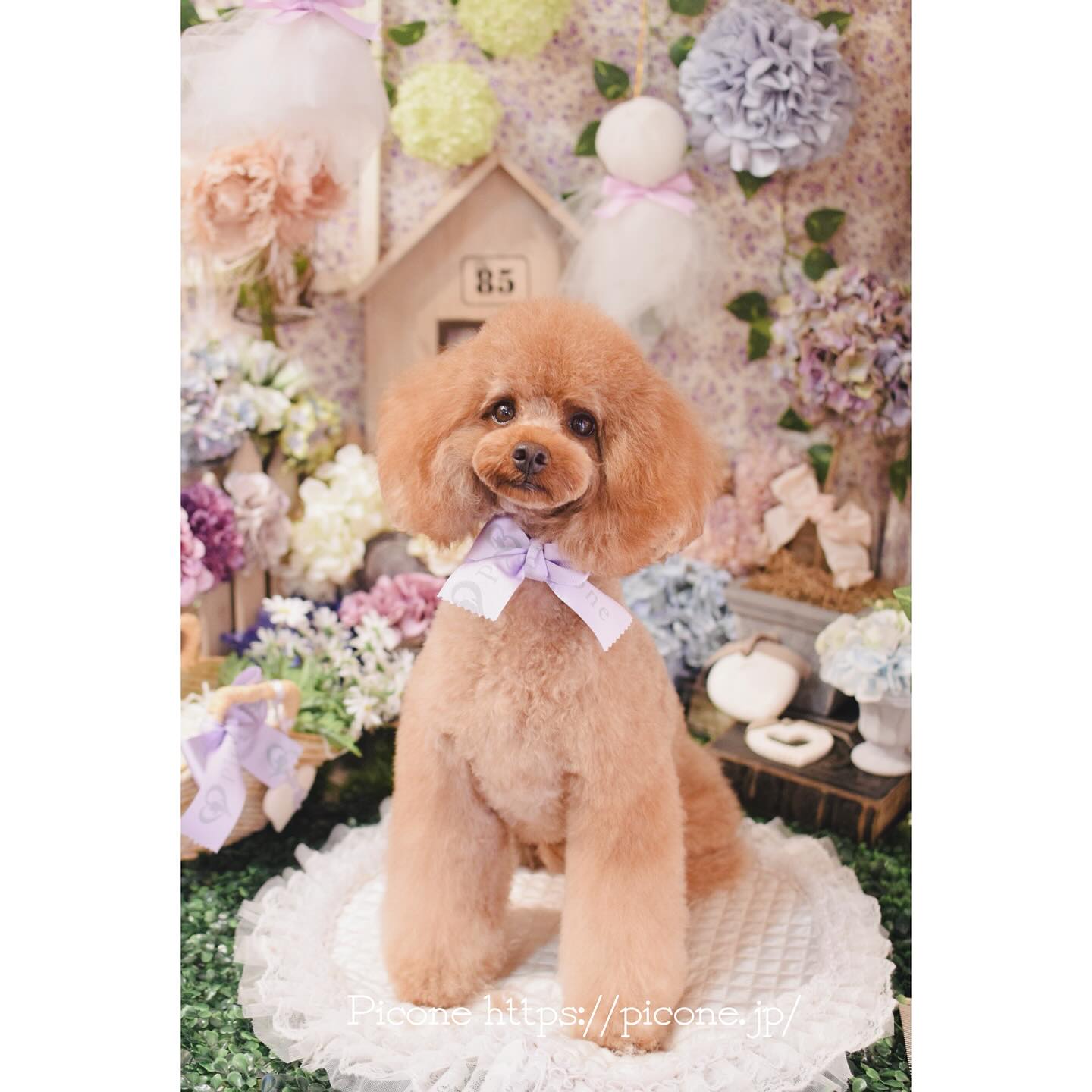 ♡picone×coo♡3点セット売り(^^)