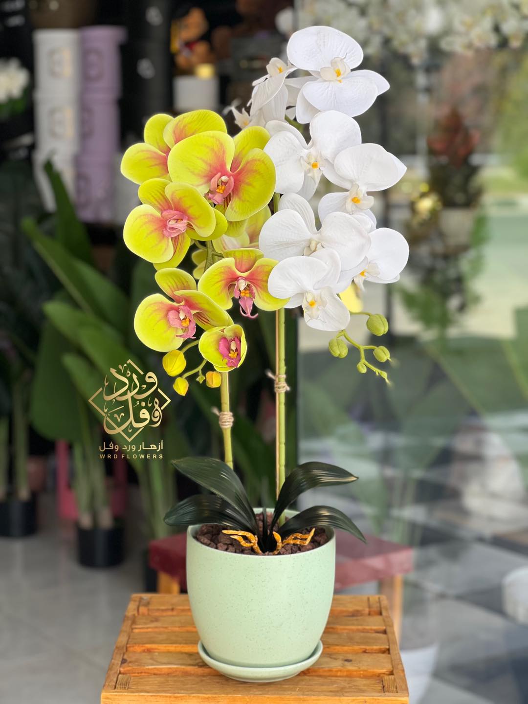 ‎Wrd flowers-أزهار ورد و... - Wrd flowers-أزهار ورد و فُل