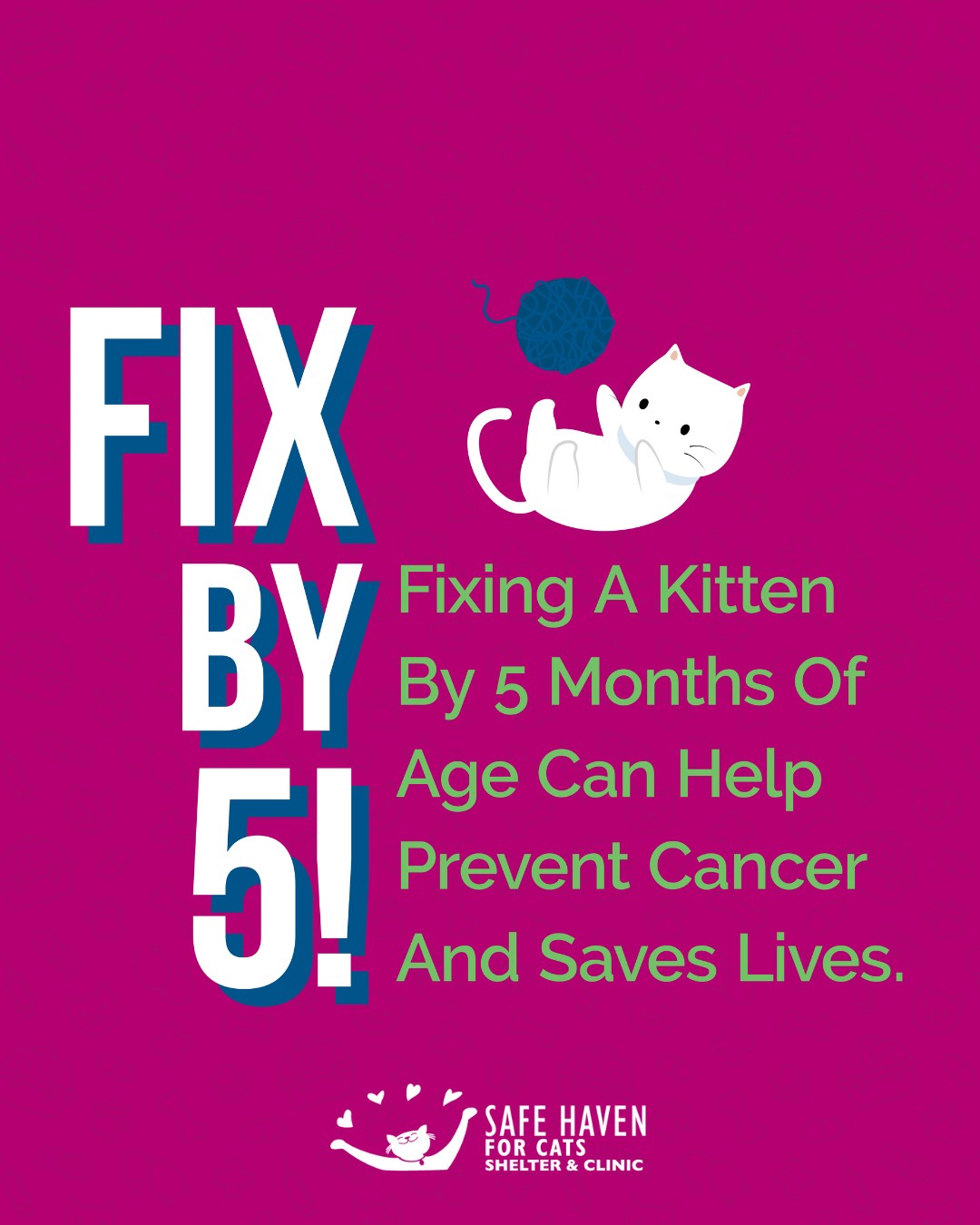 Did you get a kitten for Christmas?!... - SAFE Haven for Cats | Facebook