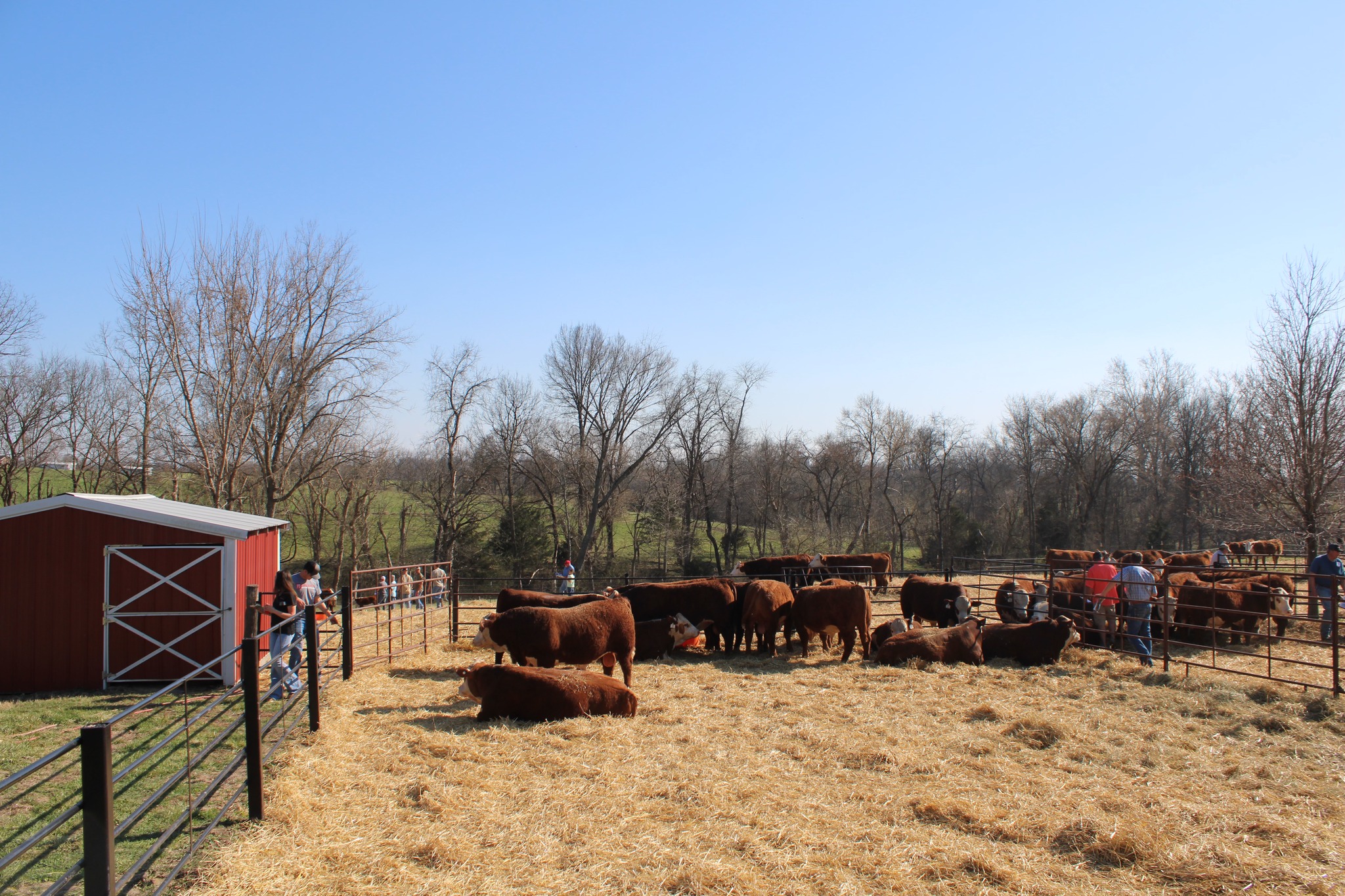 Falling Timber Farm | Marthasville MO