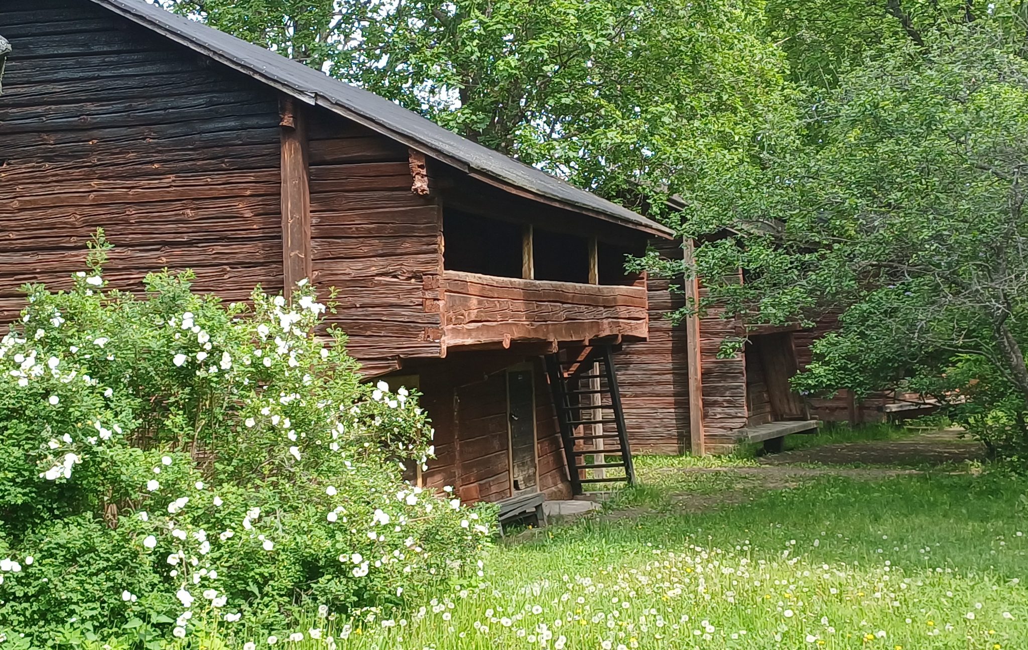 pakin-talo-helsinki