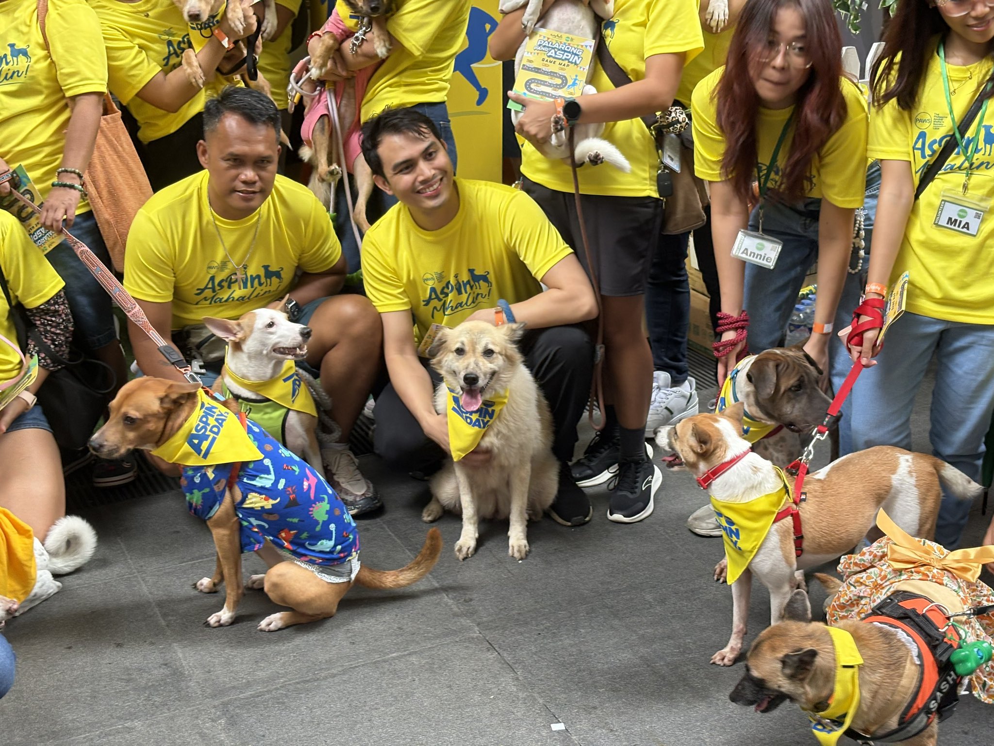 ABS-CBN - LOOK: The Philippine Animal Welfare Society (PAWS) is ...