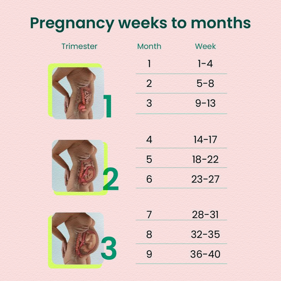 Pregnancy - Pregnancy Guide | Facebook