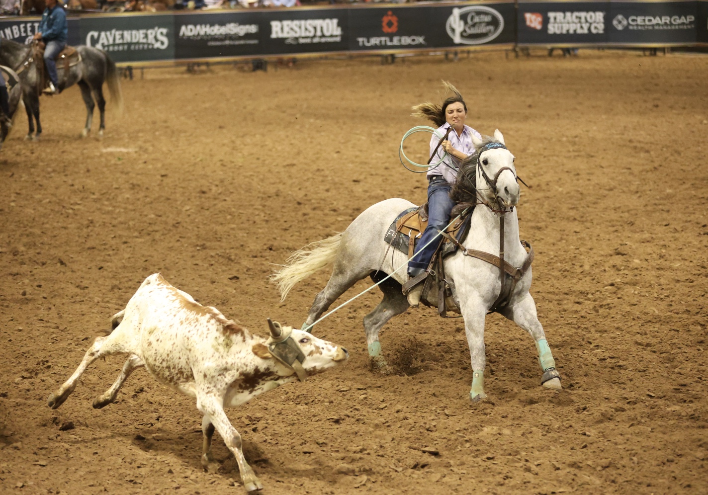Roping.com | Albuquerque NM