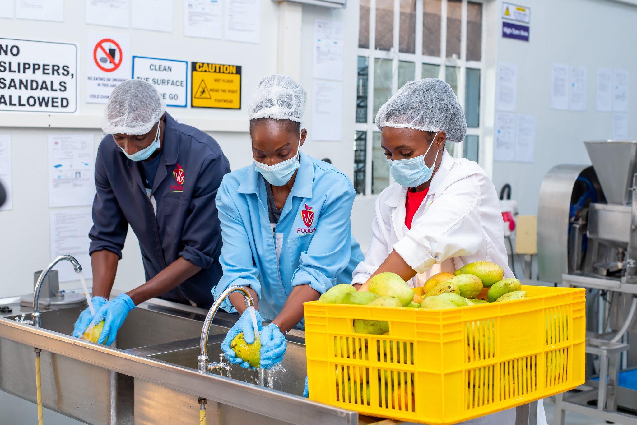 Techwin - Are you a fruit processor looking to improve efficiency and ...