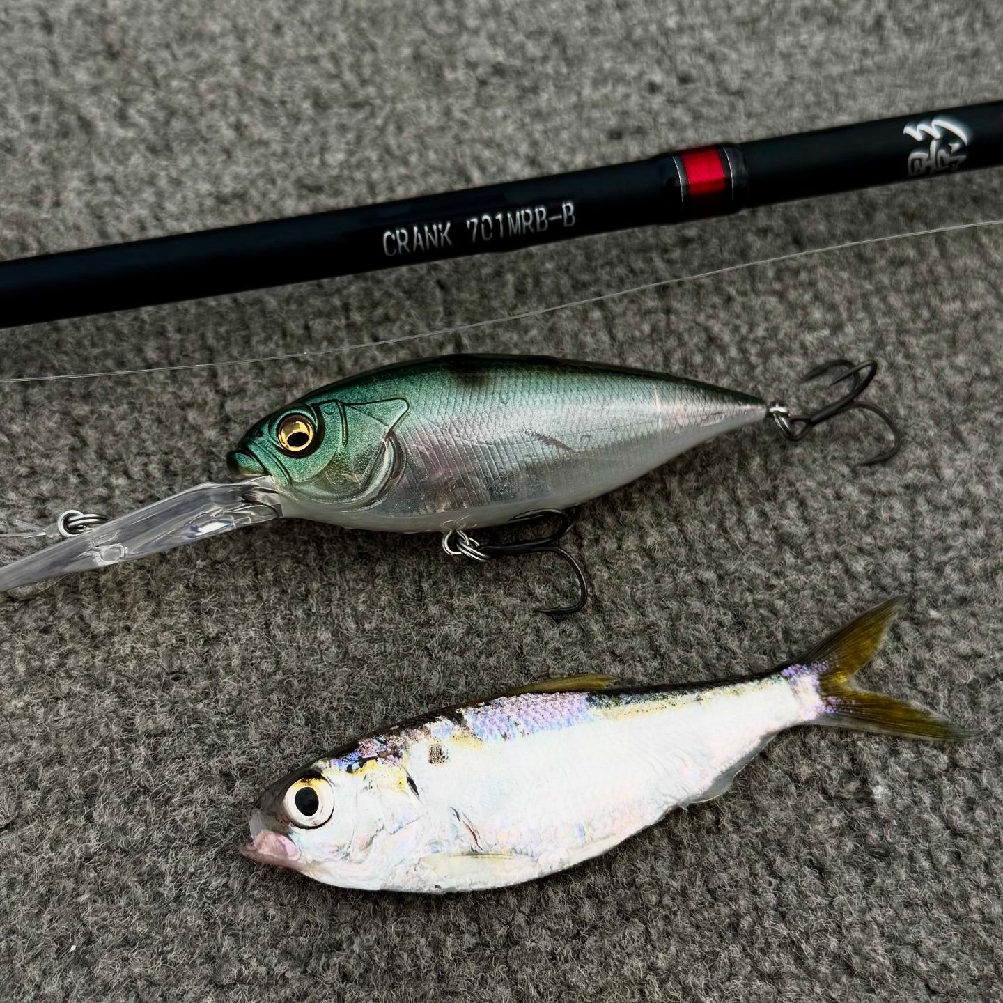bass baitcast rod St. Croix JOC68MXF Mojo Trigon Casting TCMBY Color:Black&Gold Spincasting Reels Baitrunner Multiplier oxide ring inserts ensure