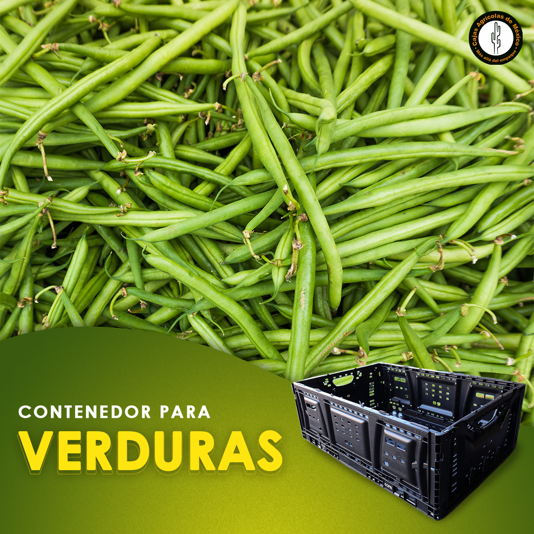 Cajas - Protege y conserva la frescura de tus verduras desde el campo ...
