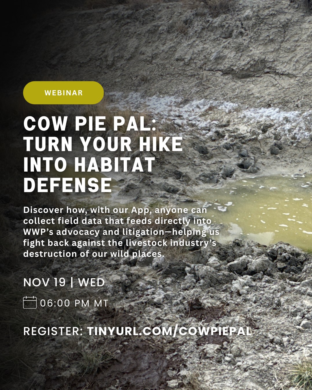 Join WWP staff on this... - Western Watersheds Project | Facebook