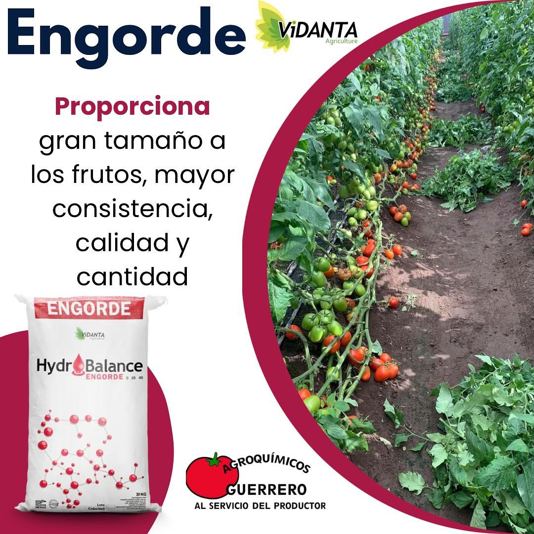 Abono cristalino 15-05-30. 1 Kilo. Favorece el Crecimiento | FindTheDeal