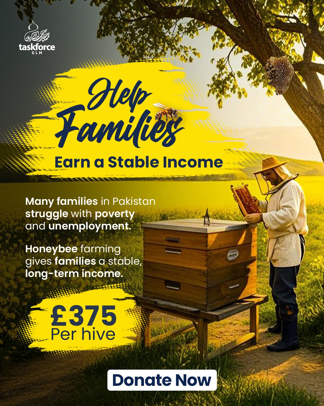 Green - In the remote areas of Pakistan, a single beehive can transform ...