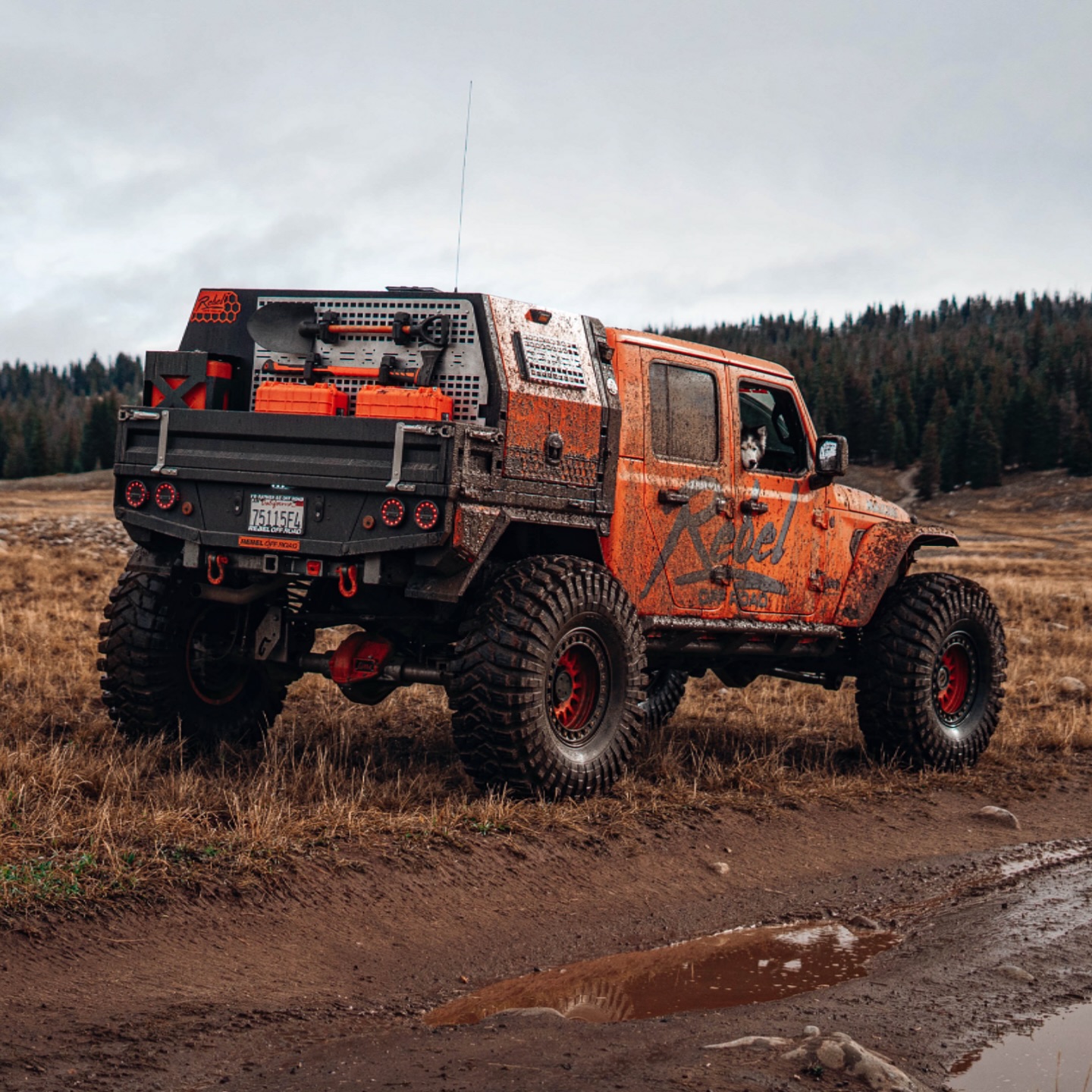 Rebel - Built for the crawl. Ready for camp. Our new Bobbed Flatbed ...