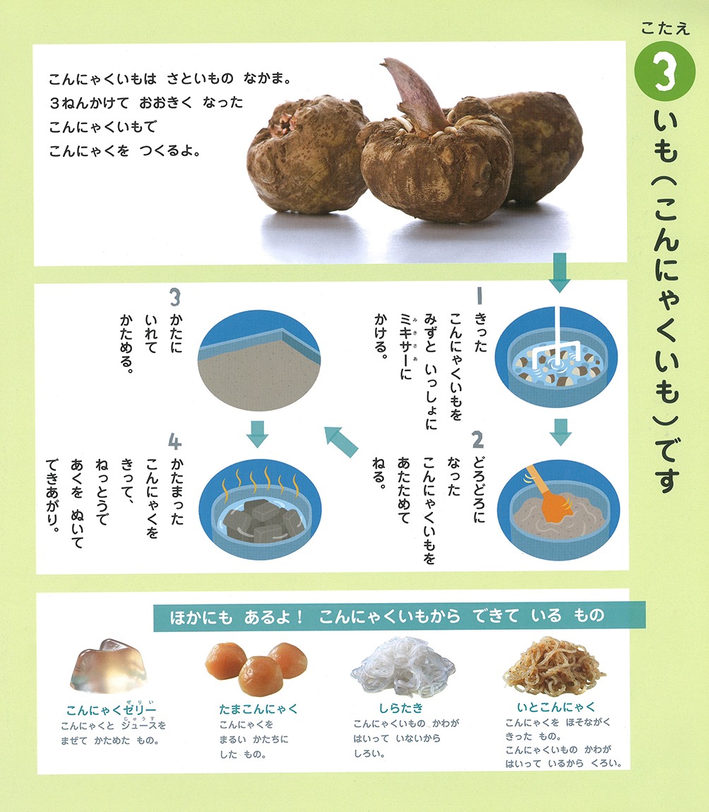 こんにゃく 何 から でき てる