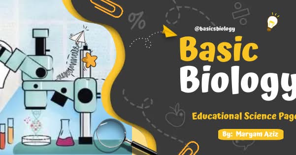 Basic Science