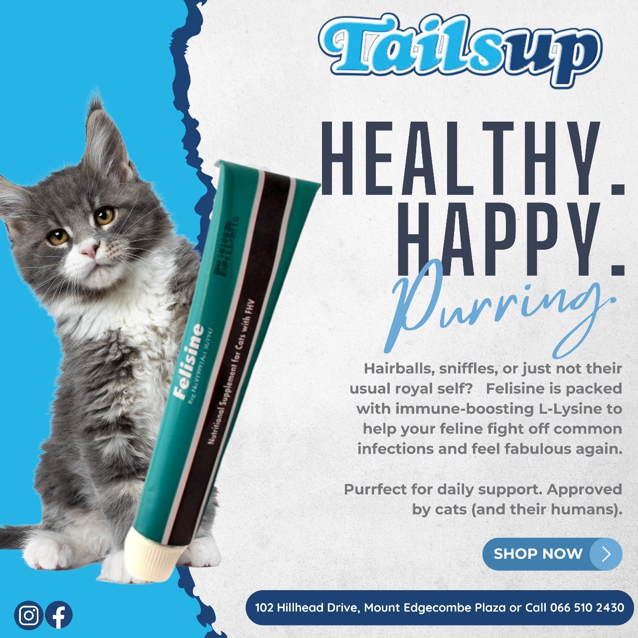 Tails Up - Mount Edgecombe | Mount Edgecombe