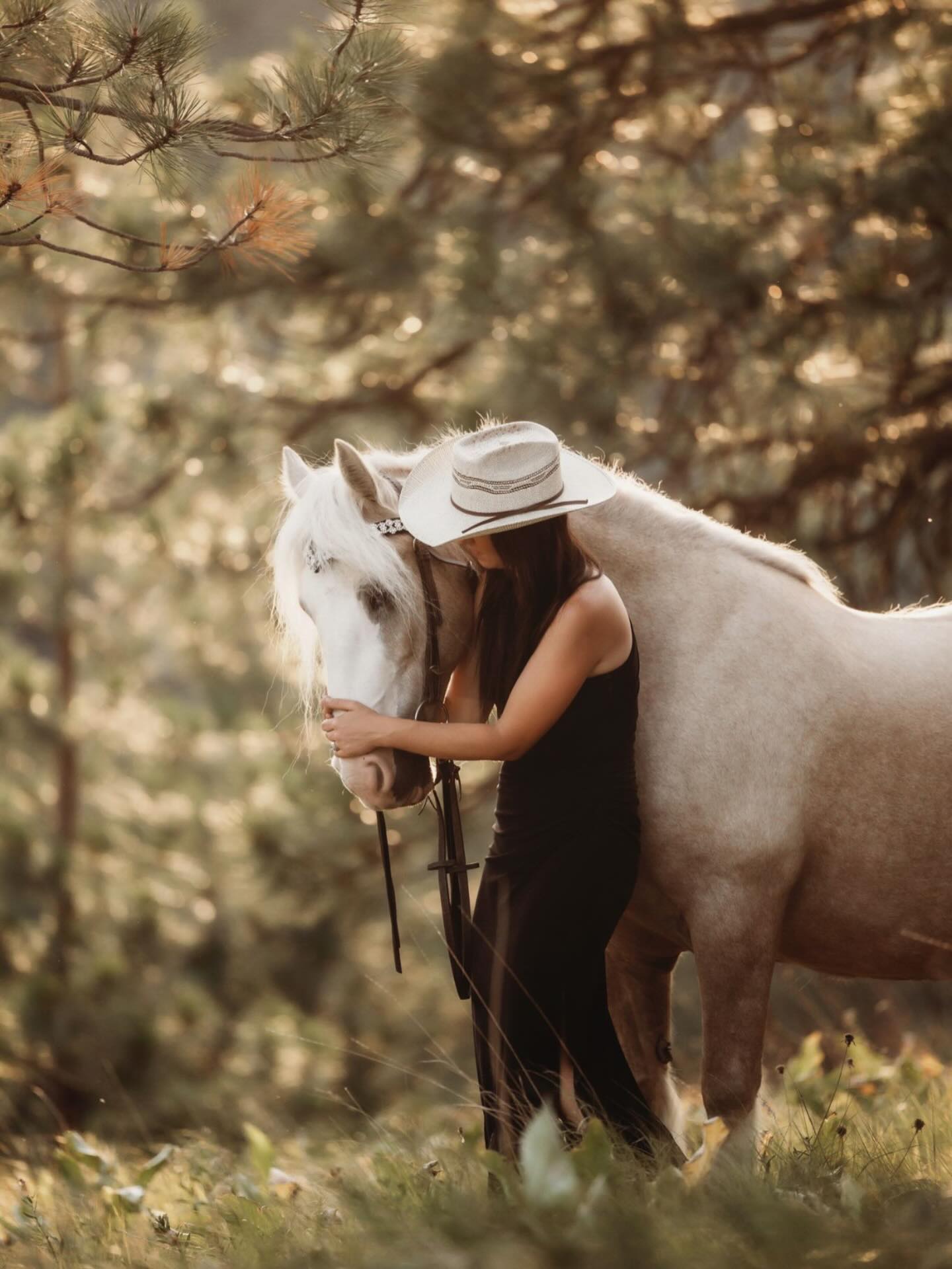 Ponderosa Ridge Ranch
