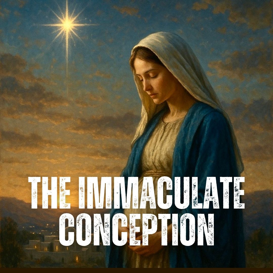 Bryanston - The Immaculate Conception reminds us that Mary was created ...